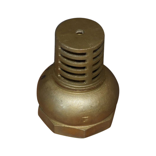 Valvula Tipo Check 4" CH102A